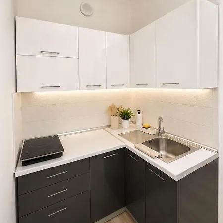 Apartment Mina Center